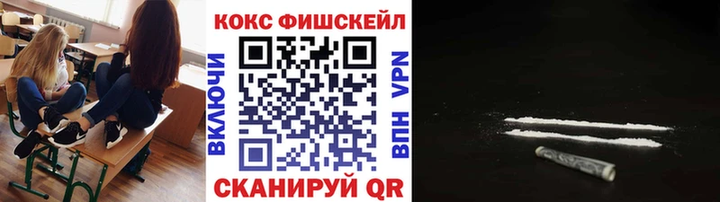 Кокаин Fish Scale  Купить закладки  Электрогорск 