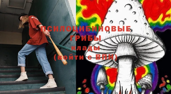 прущие крисы Верхний Тагил