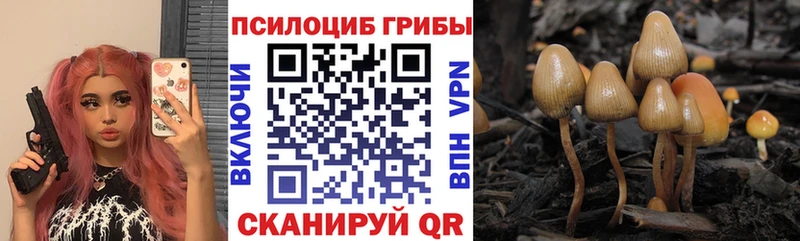 Галлюциногенные грибы Psilocybine cubensis  Купить закладки  Электрогорск 